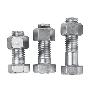 hex bolt and nut 